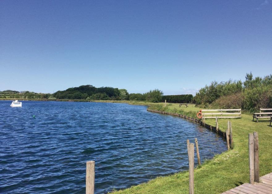 Cedar Lakeside Log 6