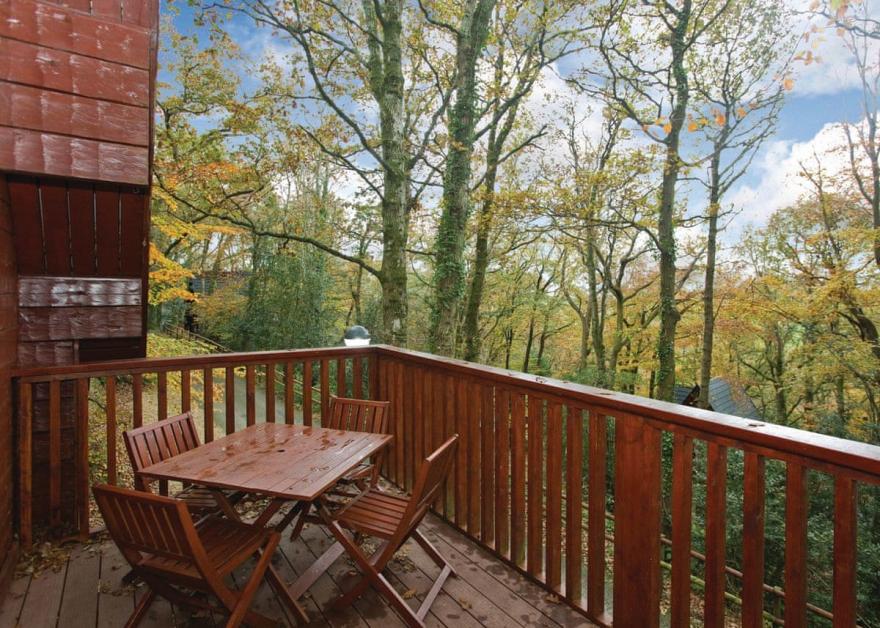 Traditional Woodland Lodge Four