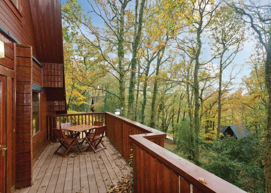 Traditional Woodland Lodge Four