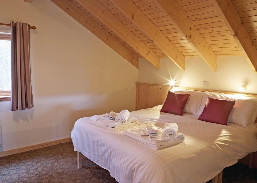 Strathyre Silver Birch 2