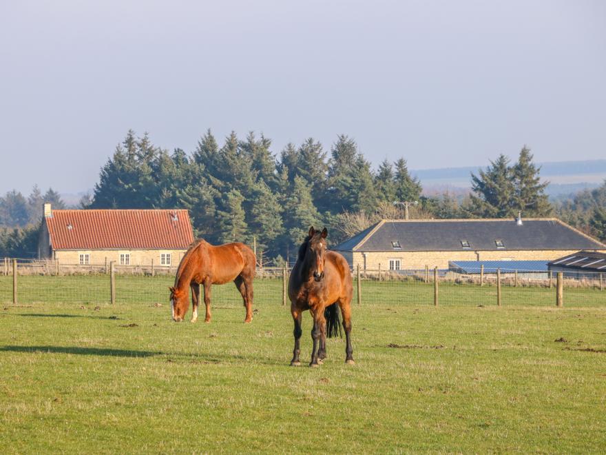 The Byre