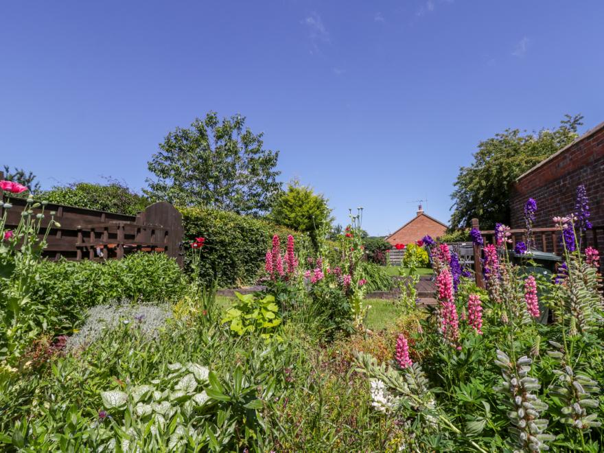 The Cottage