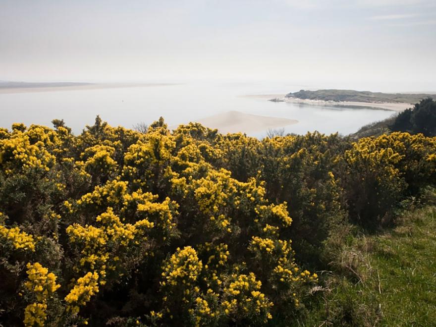 Bryn Y Mor,  Borth Y Gest