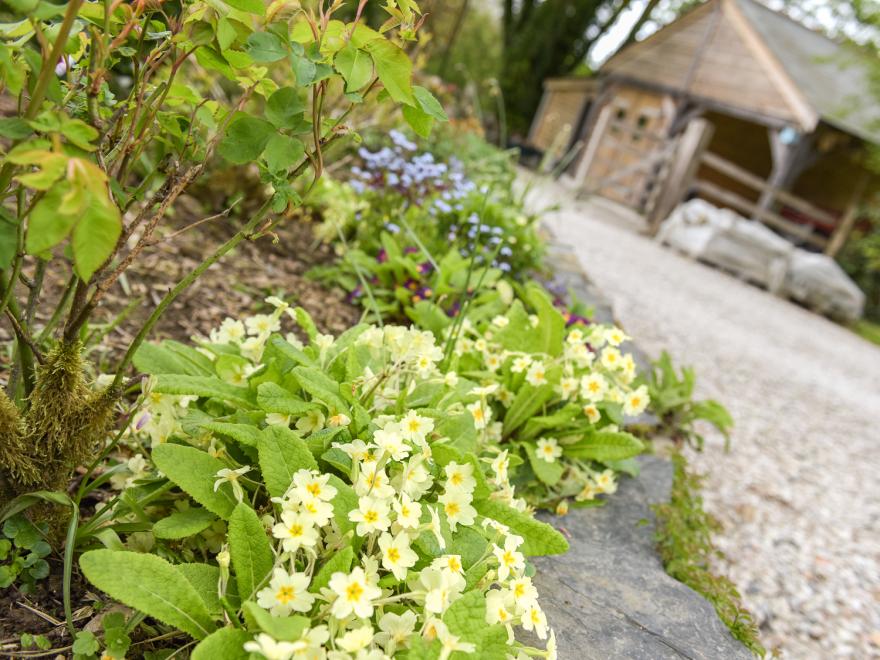 Mimi's Cottage