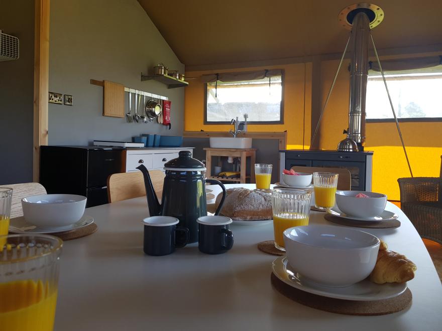 Bumble @ Stars & Embers Glamping