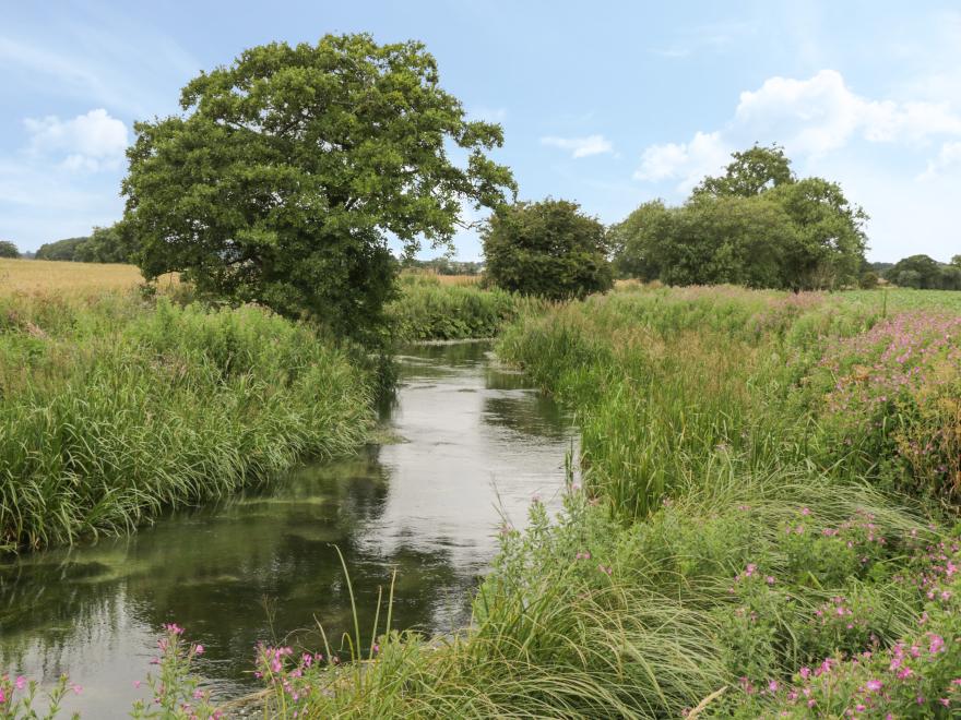Kingfisher Corner