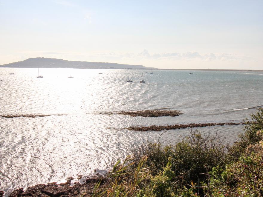 Castle Cove View
