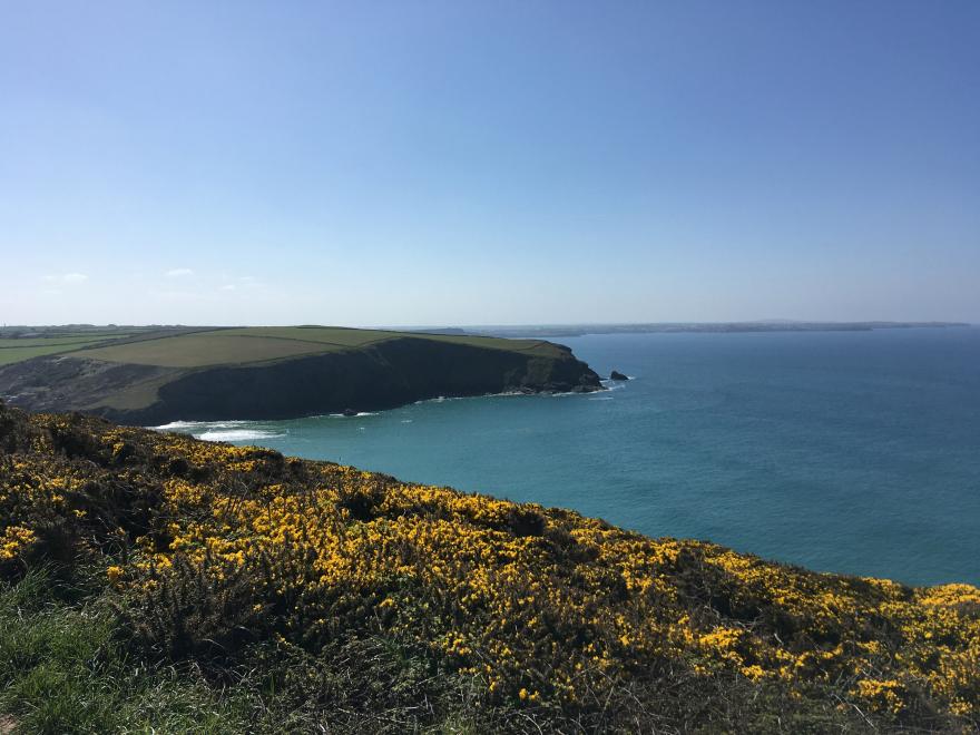 Porth Farm Annexe
