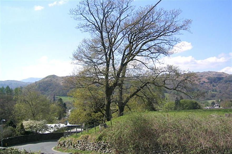 Honeypot Cottage