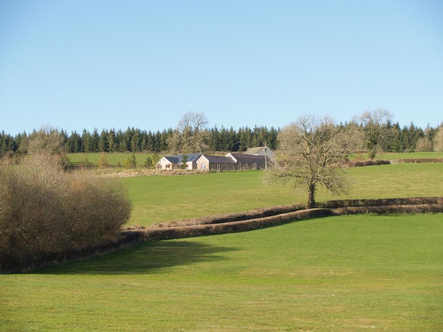 Barcud Cottage