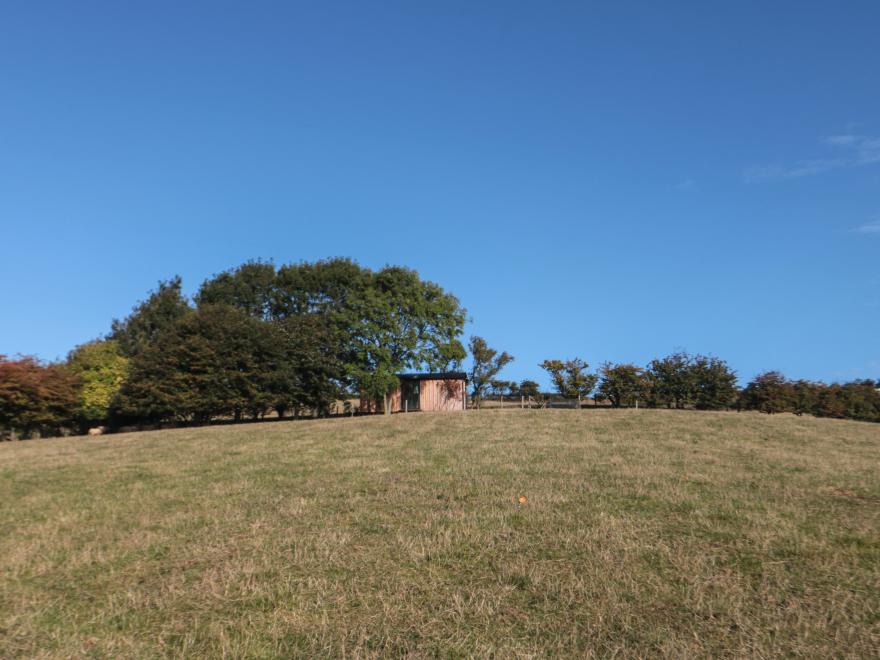 The Shepherd's Rest