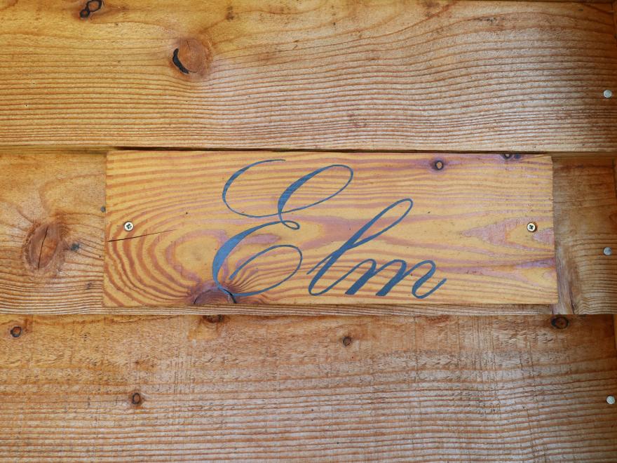 Elm
