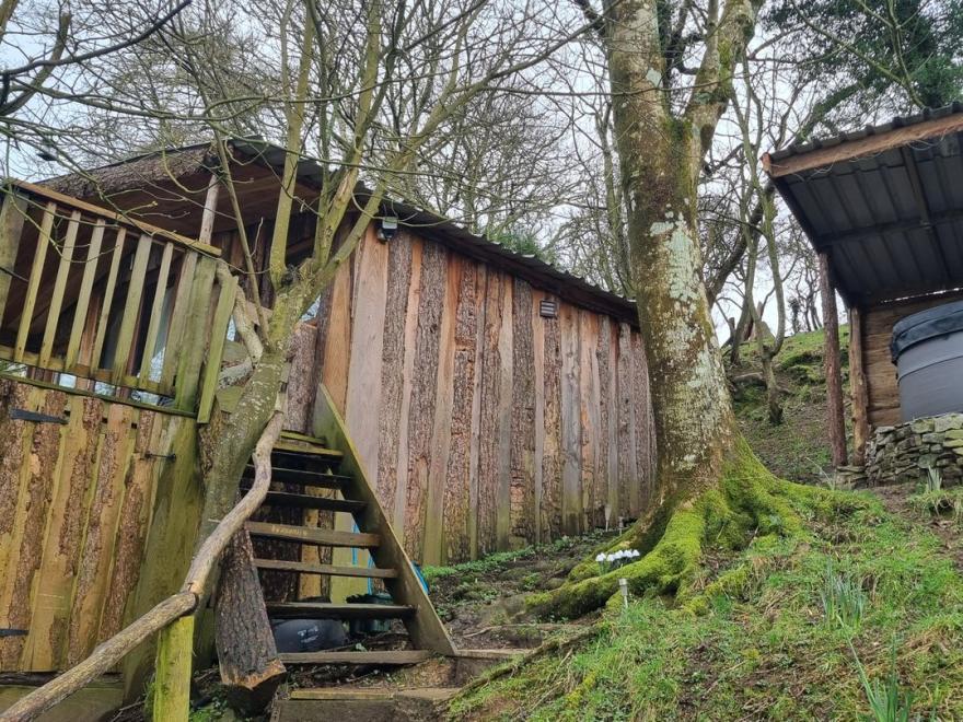 Tree House