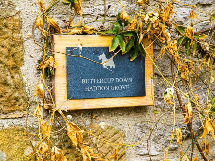 Buttercup Down