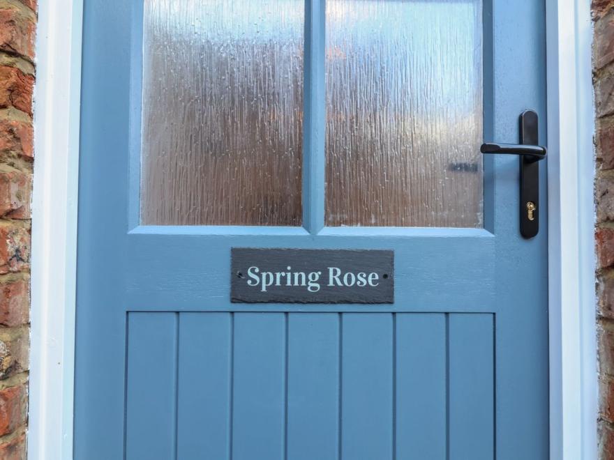 Spring Rose