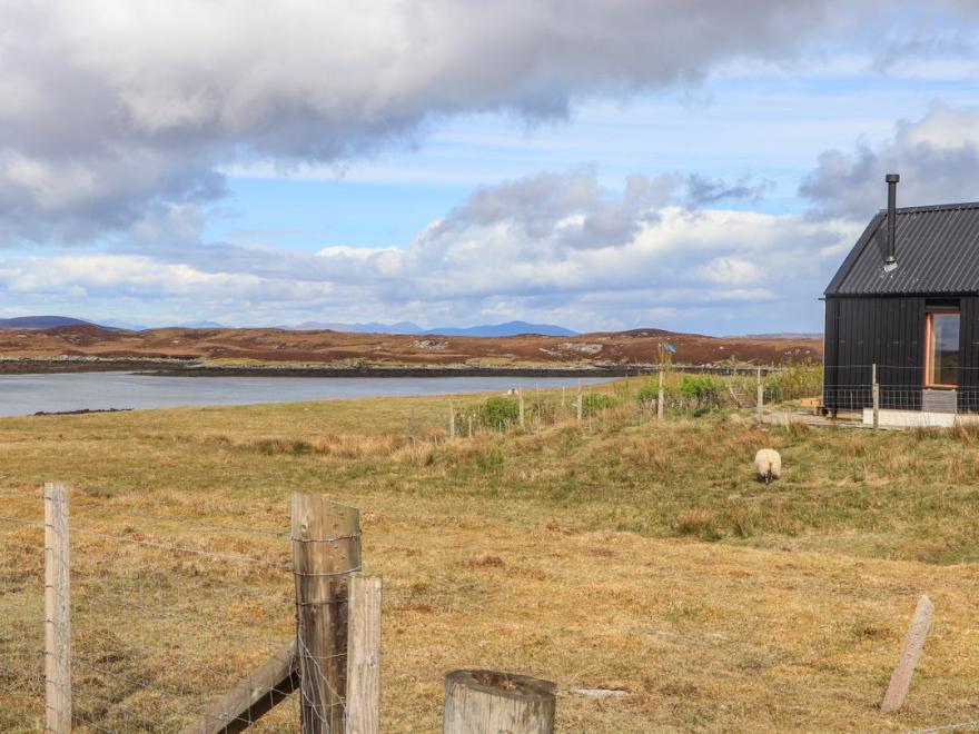 North Light Studio