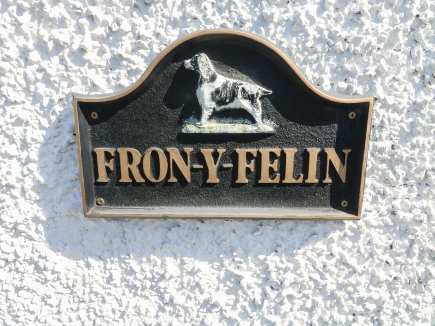 Fron Y Felin