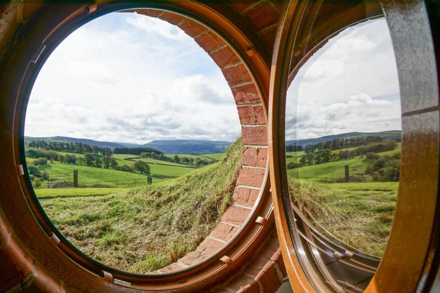 Foxes View