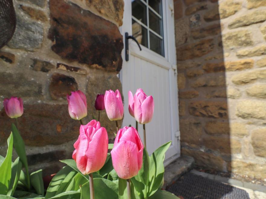 West Farm Cottage