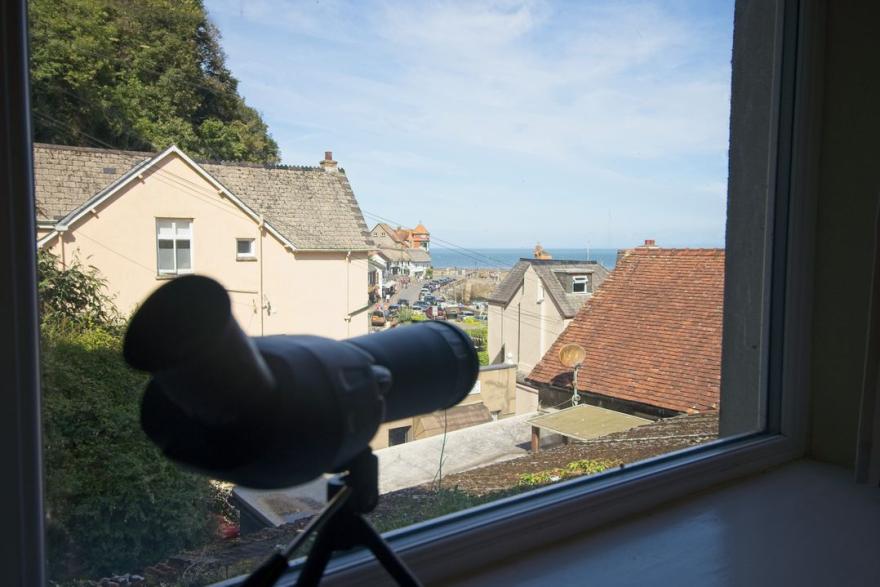Lynmouth View
