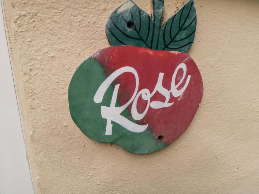 Rose