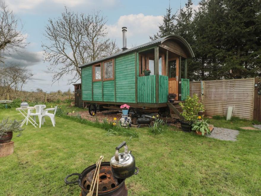 Harri's Hut