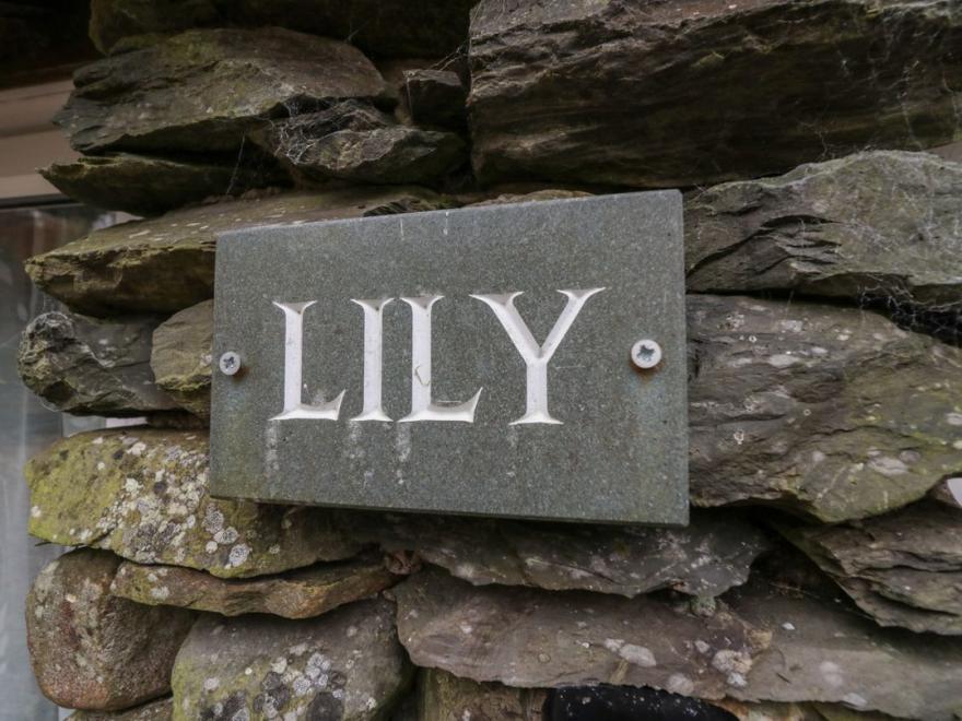 Lily