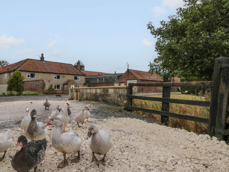 Bellmanear Farm Cottage