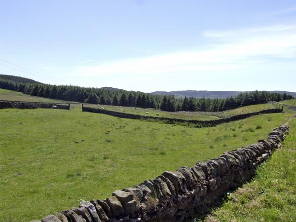 Downsdale Cottage