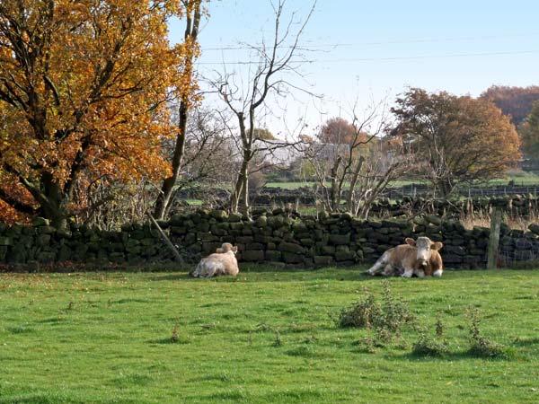 Stoneycroft Barn
