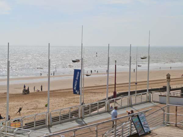 Sandy Shore