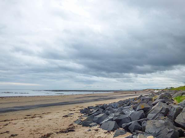 Sandy Knowes