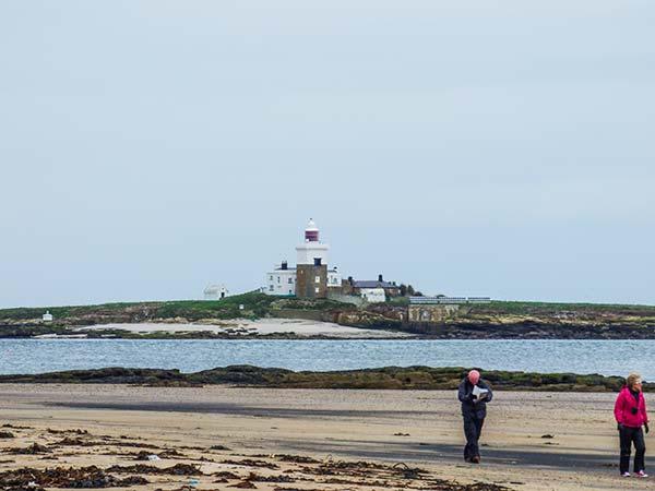Sandy Knowes