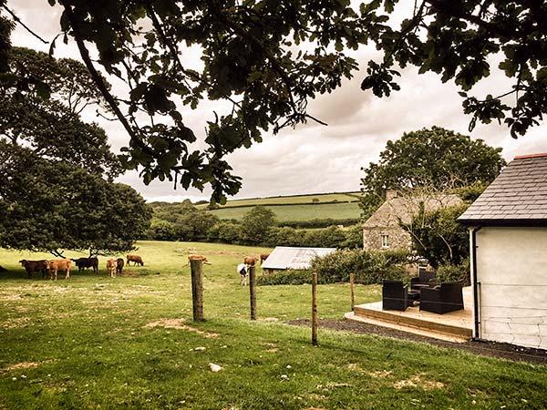 Vine Cottage