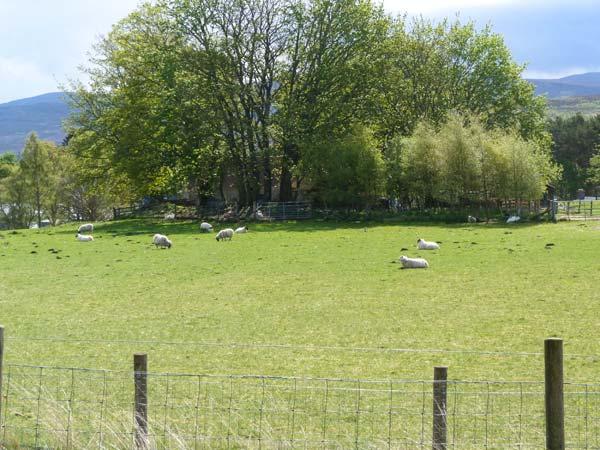 Fronthill