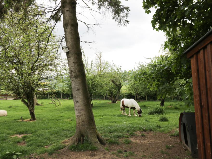The Stable, Sedbury Park Farm
