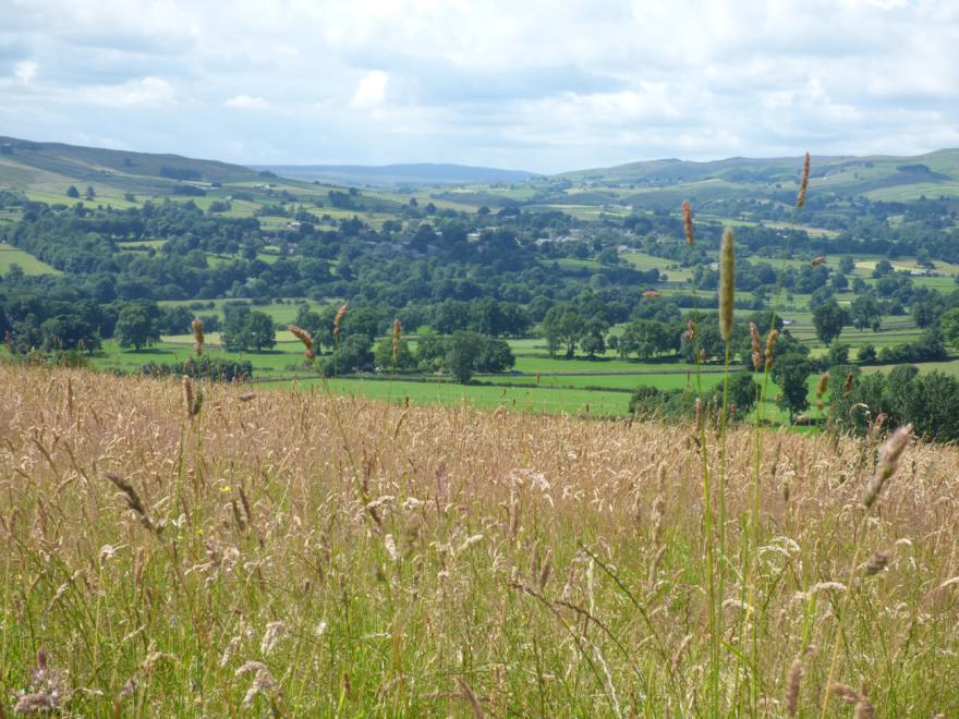 The Stable, Sedbury Park Farm