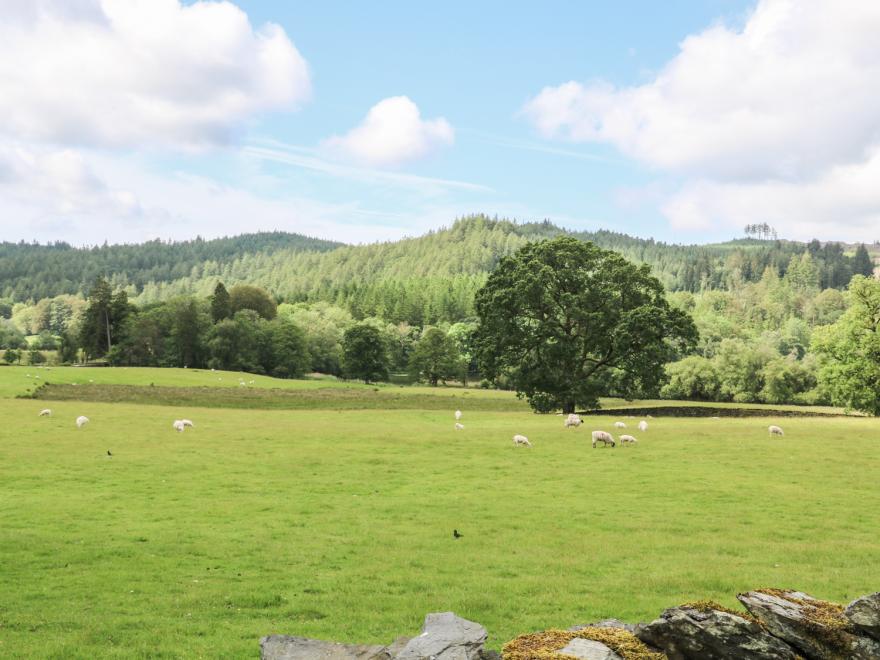 Grasmere
