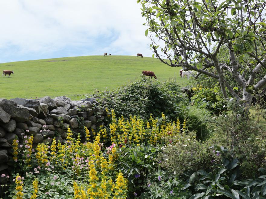 Waingate Cottage