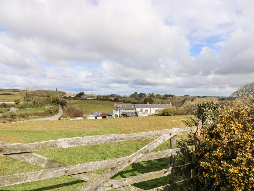 Mynheer Farm Bowji
