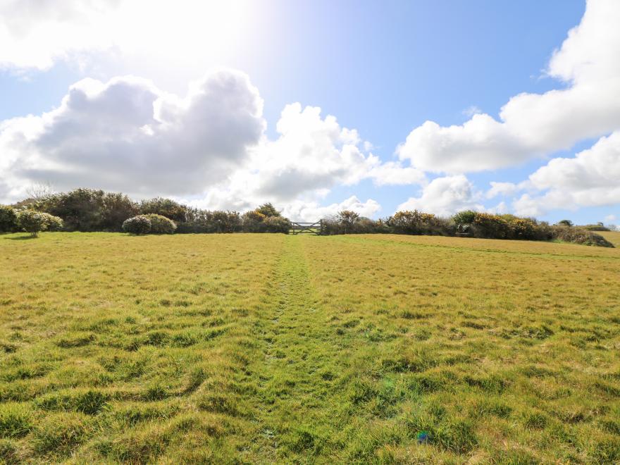 Mynheer Farm Bowji