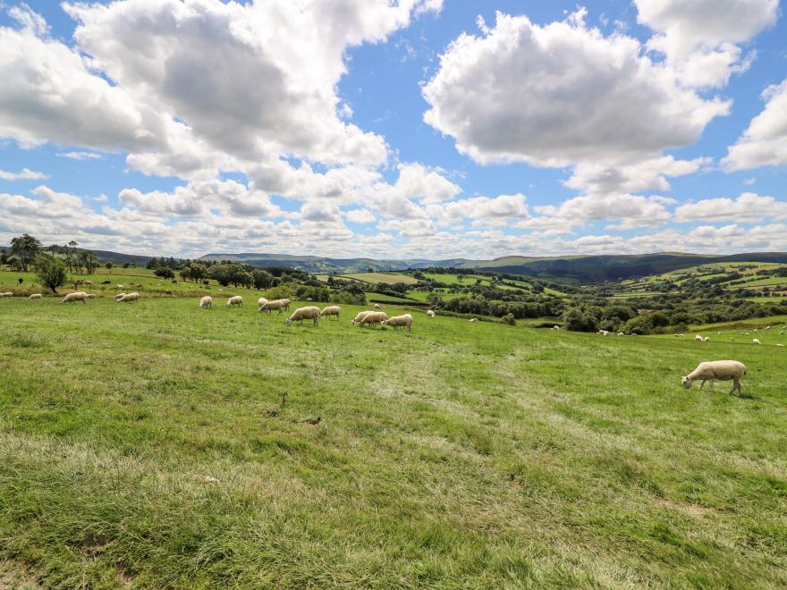 Meadow View