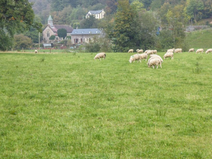Tynddol Barn