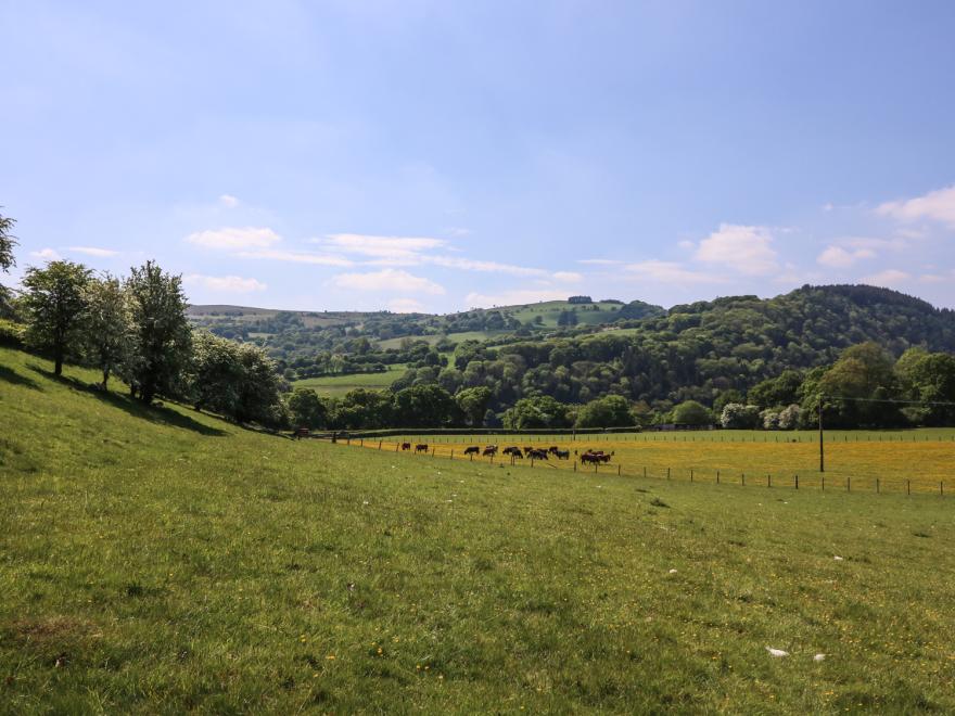 Pen Y Maes