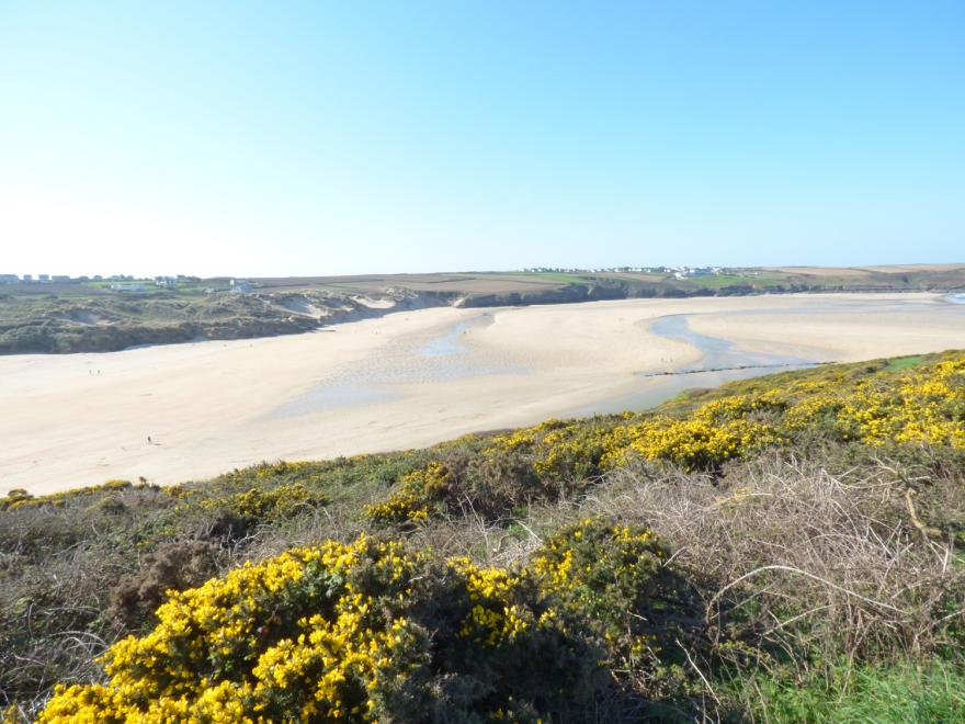 Fistral Breeze