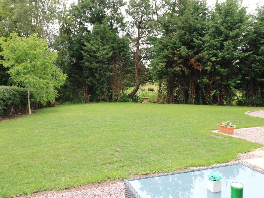 Well View Cottage