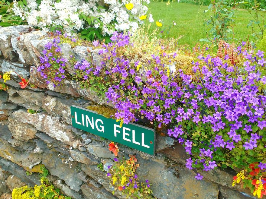 Ling Fell Cottage