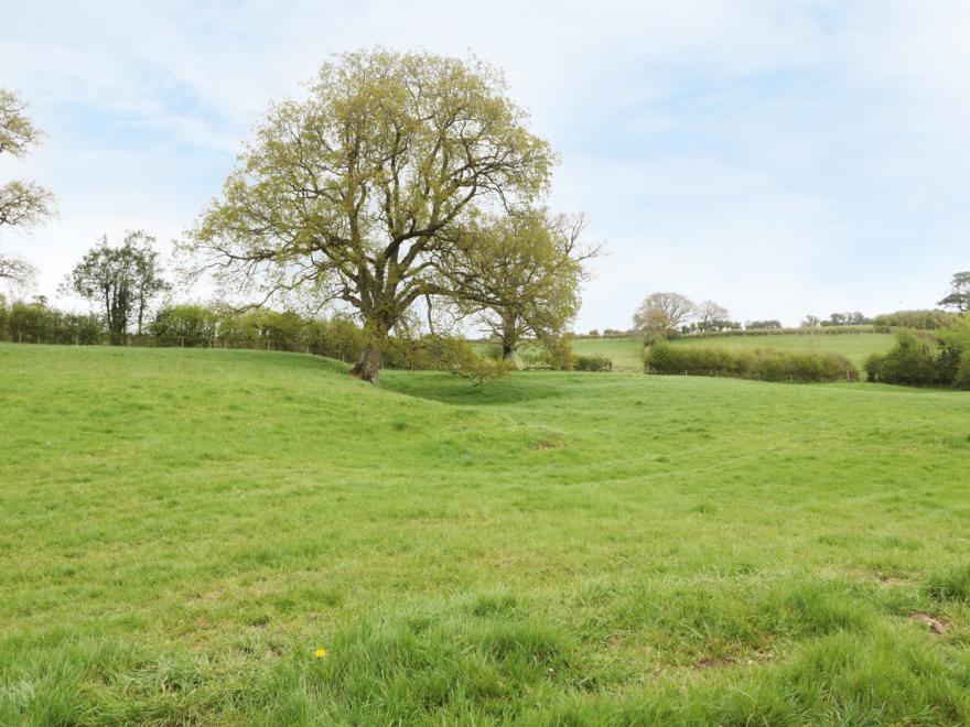 Oxbarton