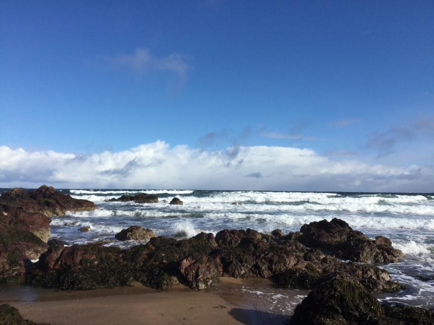 Sea Spray
