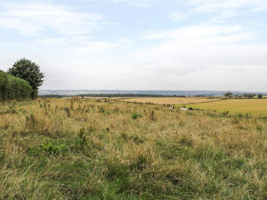Sawdon Heights